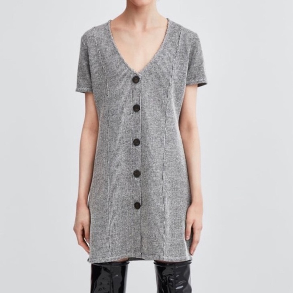Zara Black and White Striped Button Dress